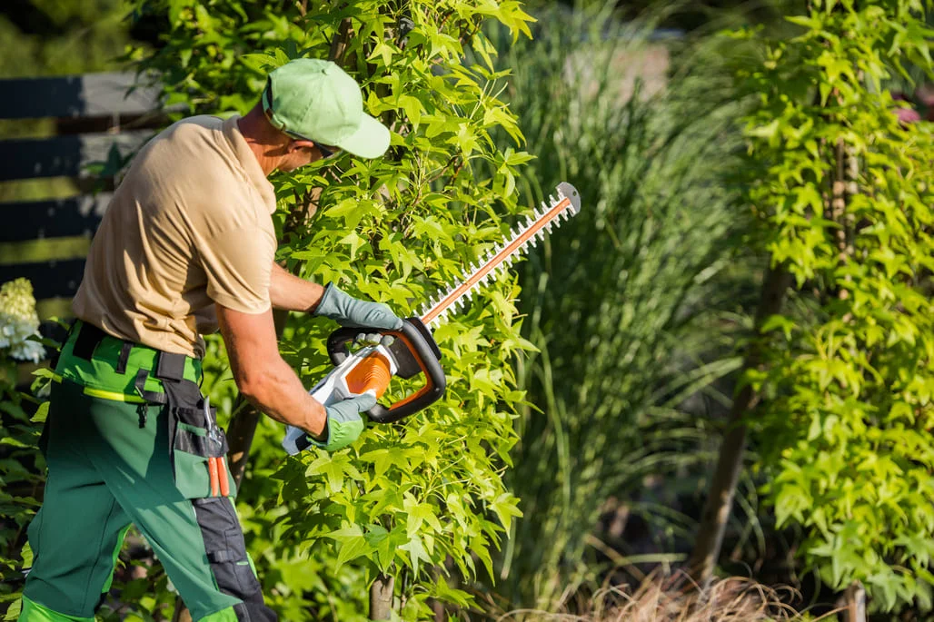Profissional de jardinagem realizando poda de árvores e arbustos altos com tesoura elétrica, usando equipamentos de proteção e trabalhando em uma área verde bem cuidada.